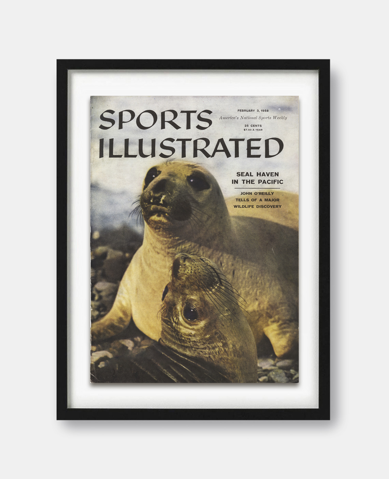 Sports-Illustrated-February-1958-Cover-Print